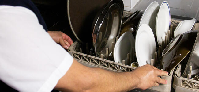Steward|Dishwasher (m/f)